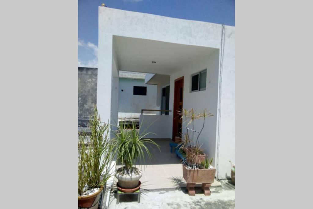 Bienvenidos A La Blanca Mérida Εξωτερικό φωτογραφία